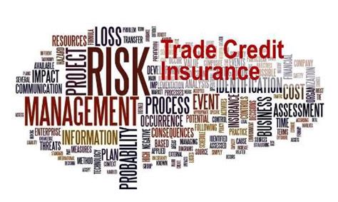 Trade credit insurance for multinational businesses .